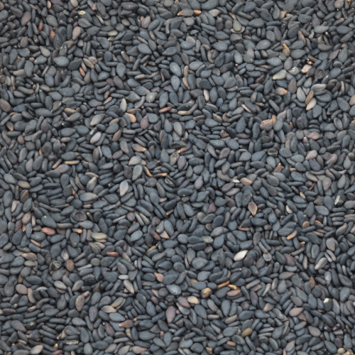 Basil Seeds 100g