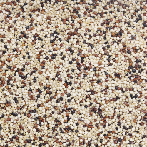 Organic Tricolour Quinoa