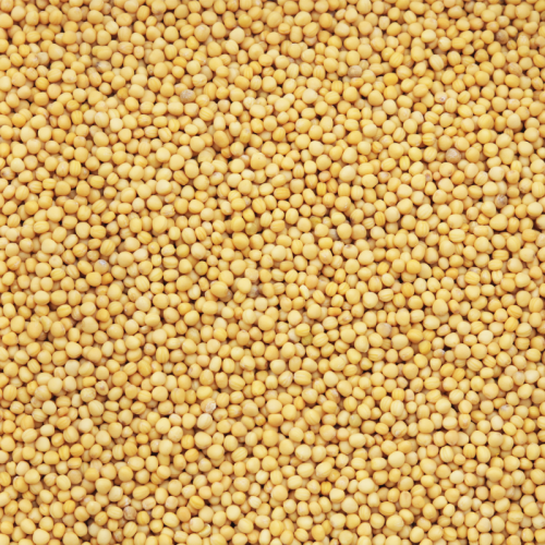 Yellow Mustard Seeds 200g